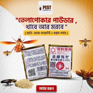 Dahao Cockroach Killer Bait Powder - ৪ পিস