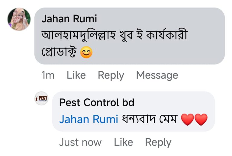 WhatsApp Image 2025-07-08 at 15.36.26_587ad220